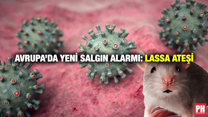 Avrupa’da Yeni Salgın Alarmı: Lassa Ateşi