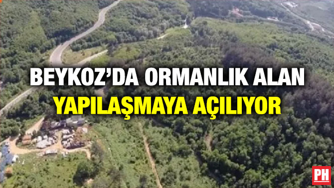 Beykoz’da Ormanlık Alan Yapılaşmaya Açılıyor