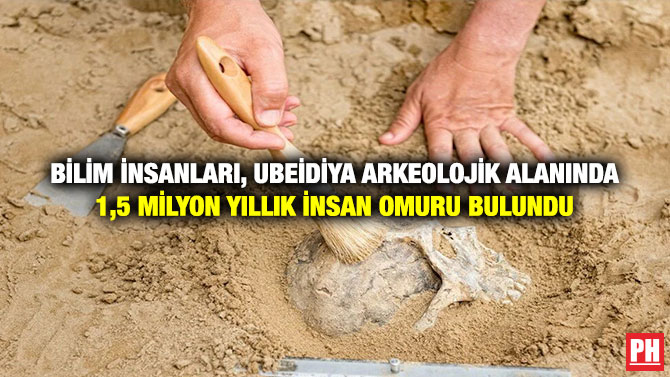 Bilim İnsanları, Ubeidiya Arkeolojik Alanında 1,5 Milyon Yıllık İnsan Omuru Bulundu