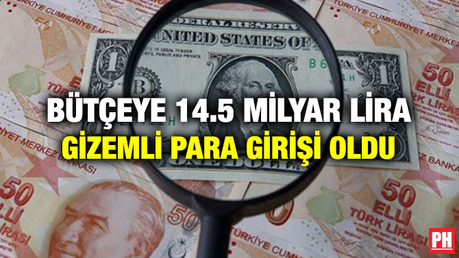 Bütçeye 14.5 Milyar Lira Gizemli Para Girişi Oldu
