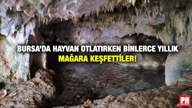 Bursa’da Hayvan Otlatırken Binlerce Yıllık Mağara Keşfettiler!