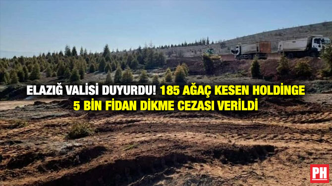 Elazığ Valisi Duyurdu! 185 Ağaç Kesen Holdinge 5 Bin Fidan Dikme Cezası Verildi