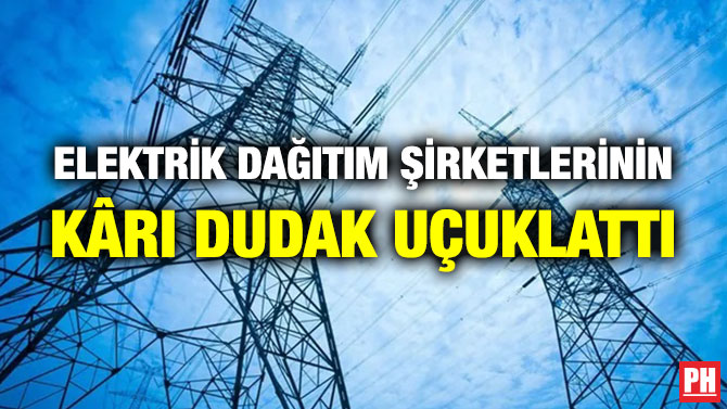 Elektrik Dağıtım Şirketlerinin Kârı Dudak Uçuklattı