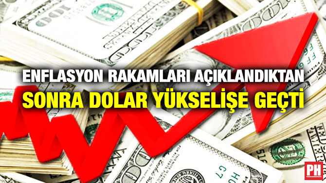 Enflasyon Rakamları Açıklandıktan Sonra Dolar Yükselişe Geçti