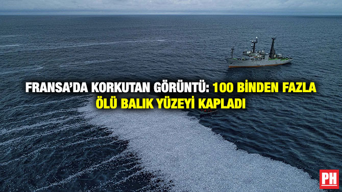 Fransa’da Korkutan Görüntü: 100 Binden Fazla Ölü Balık Yüzeyi Kapladı