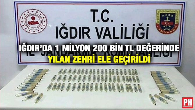 Iğdır’da 1 Milyon 200 Bin TL Değerinde Yılan Zehri Ele Geçirildi