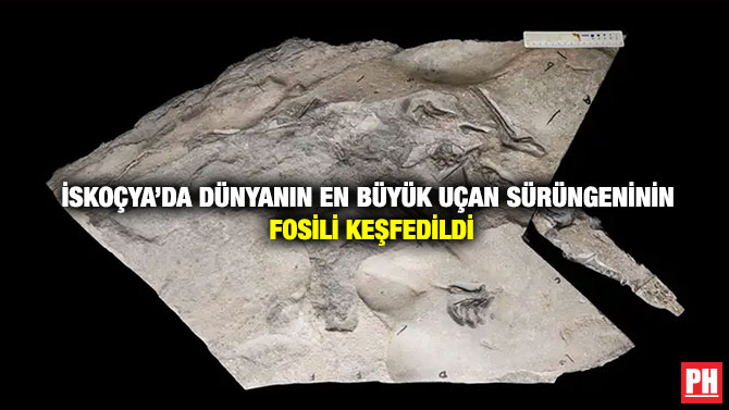 İskoçya’da Dünyanın En Büyük Uçan Sürüngeninin Fosili Keşfedildi