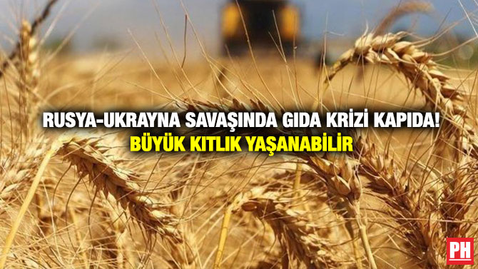Rusya-Ukrayna Savaşında Gıda Krizi Kapıda! Büyük Kıtlık Yaşanabilir