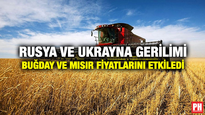 Rusya ve Ukrayna Gerilimi Buğday ve Mısır Fiyatlarını Etkiledi