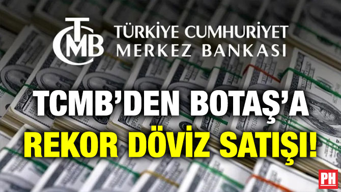 TCMB’den BOTAŞ’a Rekor Döviz Satışı!