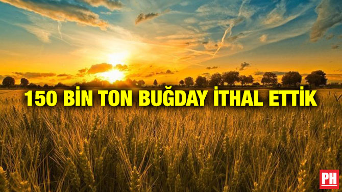 150 Bin Ton Buğday İthal Ettik