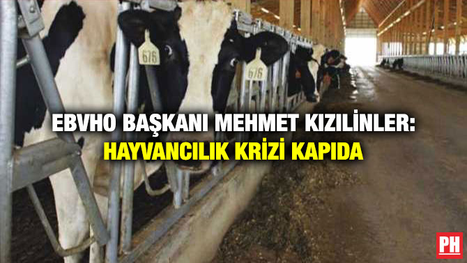 EBVHO Başkanı Mehmet Kızılinler: Hayvancılık Krizi Kapıda