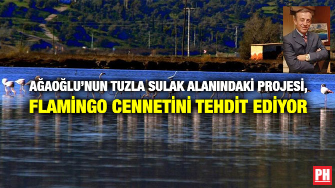 Ağaoğlu’nun Tuzla Sulak Alanındaki Projesi, Flamingo Cennetini Tehdit Ediyor