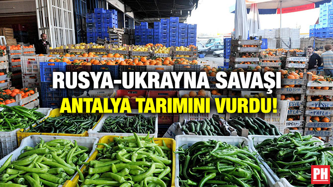 Rusya-Ukrayna Savaşı Antalya Tarımını Vurdu!