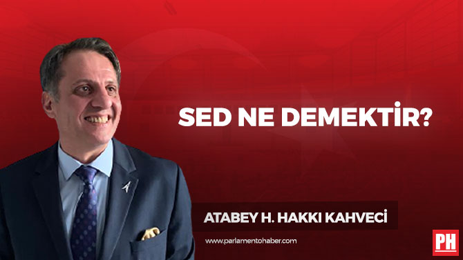 SED Ne Demektir?