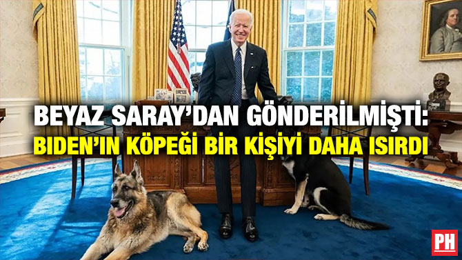 Beyaz Saray’dan Gönderilmişti: Biden’ın Köpeği Bir Kişiyi Daha Isırdı