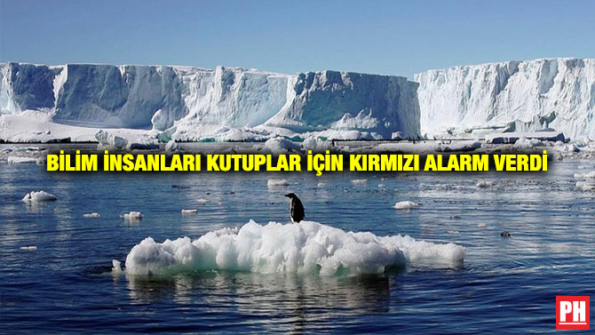 Bilim İnsanları Kutuplar İçin Kırmızı Alarm Verdi