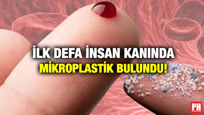 İlk Defa İnsan Kanında Mikroplastik Bulundu!