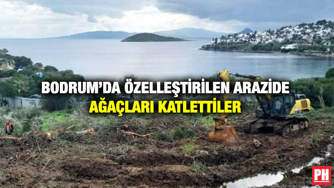 Bodrum’da Özelleştirilen Arazide Ağaçları Katlettiler