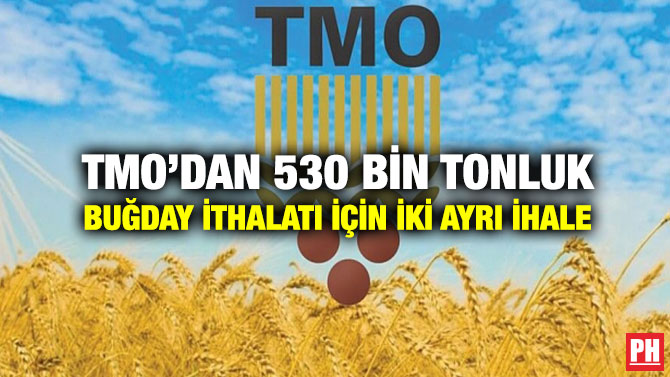 TMO’dan 530 Bin Tonluk Buğday İthalatı İçin İki Ayrı İhale