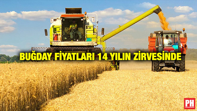 Buğday Fiyatları 14 Yılın Zirvesinde