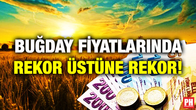 Buğday Fiyatlarında Rekor Üstüne Rekor!