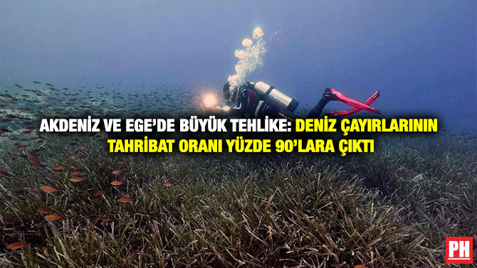 Akdeniz ve Ege’de Büyük Tehlike: Deniz Çayırlarının Tahribat Oranı Yüzde 90’lara Çıktı