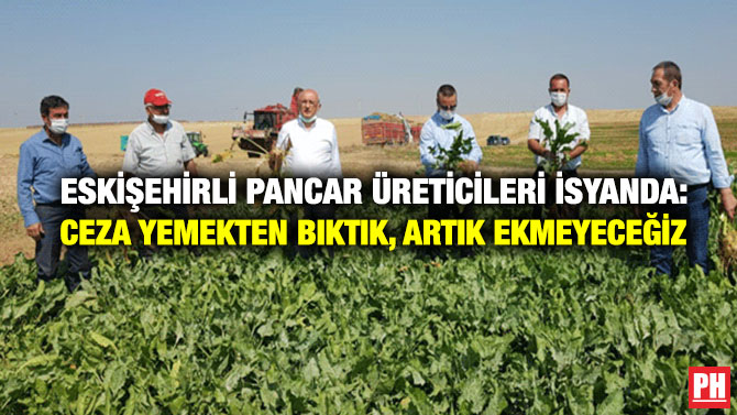 Eskişehirli Pancar Üreticileri İsyanda: Ceza Yemekten Bıktık, Artık Ekmeyeceğiz