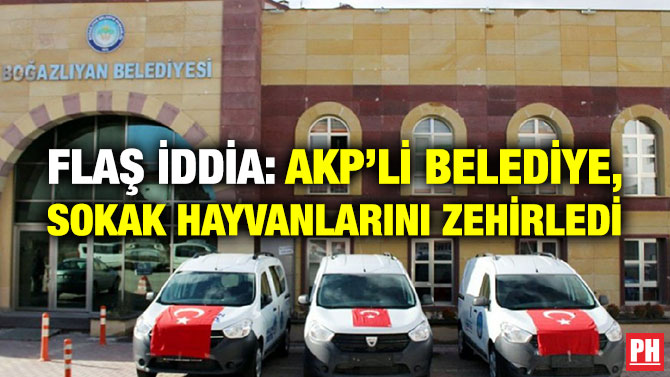 Flaş İddia: AKP’li Belediye, Sokak Hayvanlarını Zehirledi