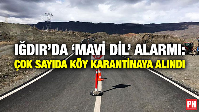 Iğdır’da ‘Mavi Dil’ Alarmı: Çok Sayıda Köy Karantinaya Alındı