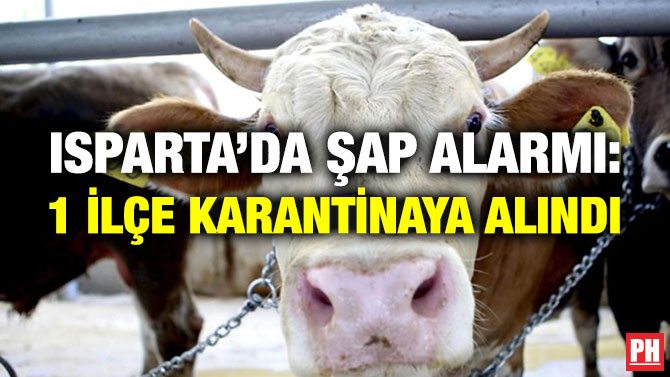Isparta’da Şap Alarmı: 1 İlçe Karantinaya Alındı