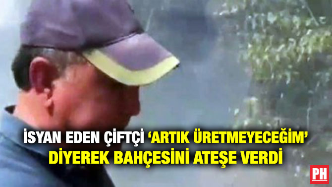 İsyan Eden Çiftçi ‘Artık Üretmeyeceğim’ Diyerek Bahçesini Ateşe Verdi