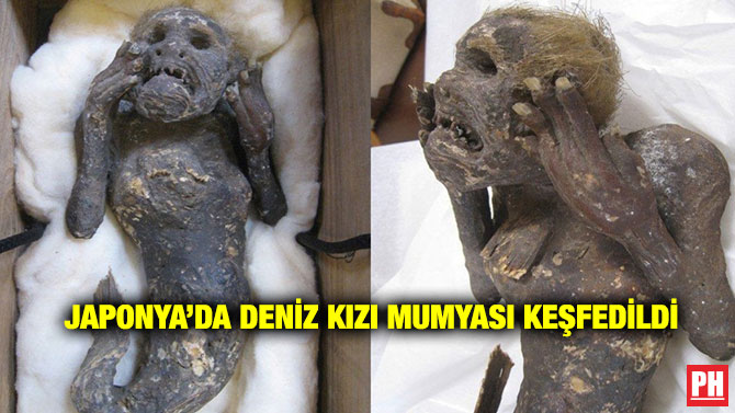 Japonya’da Deniz Kızı Mumyası Keşfedildi