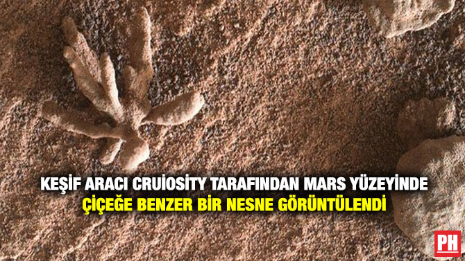 Keşif Aracı Cruiosity Tarafından Mars Yüzeyinde Çiçeğe Benzer Bir Nesne Görüntülendi