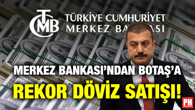 Merkez Bankası’ndan BOTAŞ’a Rekor Döviz Satışı!