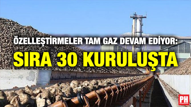 Özelleştirmeler Tam Gaz Devam Ediyor: Sıra 30 Kuruluşta