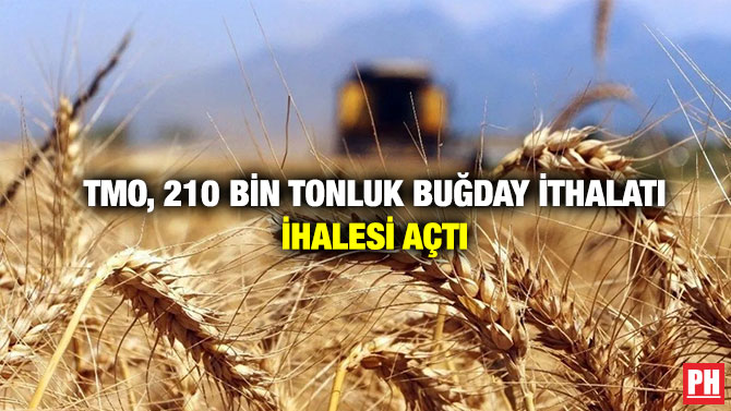 TMO, 210 Bin Tonluk Buğday İthalatı İhalesi Açtı