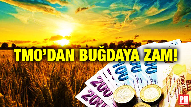 TMO’dan Buğdaya Zam!
