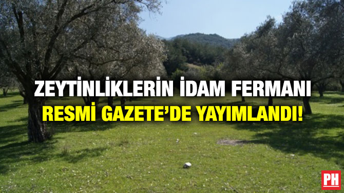 Zeytinliklerin İdam Fermanı Resmi Gazete’de Yayımlandı!