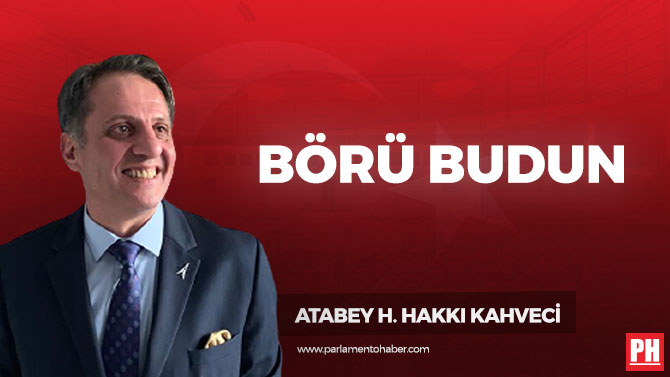 Börü Budun