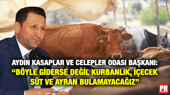 Aydın Kasaplar ve Celepler Odası Başkanı: “Böyle Giderse Değil Kurbanlık, İçecek Süt ve Ayran Bulamayacağız”