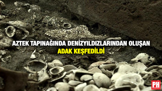 Aztek Tapınağında Denizyıldızlarından Oluşan Adak Keşfedildi