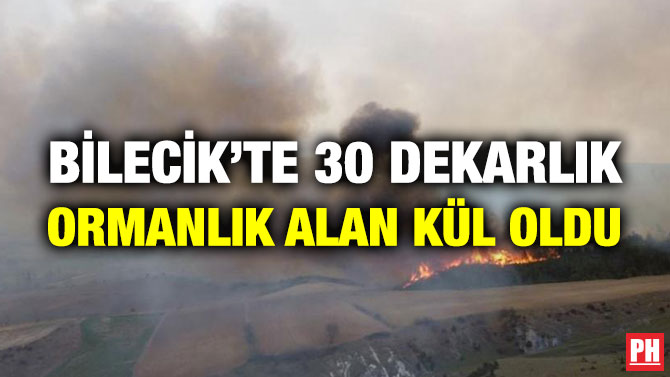 Bilecik’te 30 Dekarlık Ormanlık Alan Kül Oldu