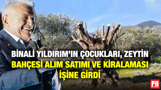 Binali Yıldırım’ın Çocukları, Zeytin Bahçesi Alım Satımı ve Kiralaması İşine Girdi