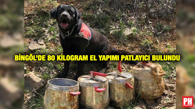 Bingöl’de 80 Kilogram El Yapımı Patlayıcı Bulundu