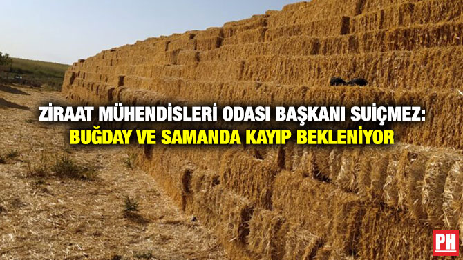 Ziraat Mühendisleri Odası Başkanı Suiçmez: Buğday ve Samanda Kayıp Bekleniyor