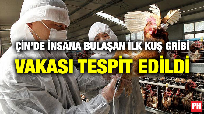 Çin’de İnsana Bulaşan İlk Kuş Gribi Vakası Tespit Edildi
