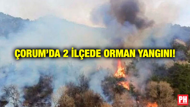 Çorum’da 2 İlçede Orman Yangını!