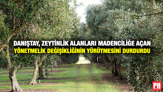 Danıştay, Zeytinlik Alanları Madenciliğe Açan Yönetmelik Değişikliğinin Yürütmesini Durdurdu