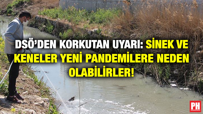DSÖ’den Korkutan Uyarı: Sinek ve Keneler Yeni Pandemilere Neden Olabilirler!